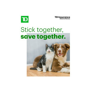 2026 Spring General Meeting Sponsor (Supporter)